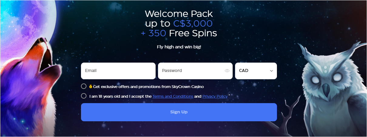 skycrown casino sign in form login page